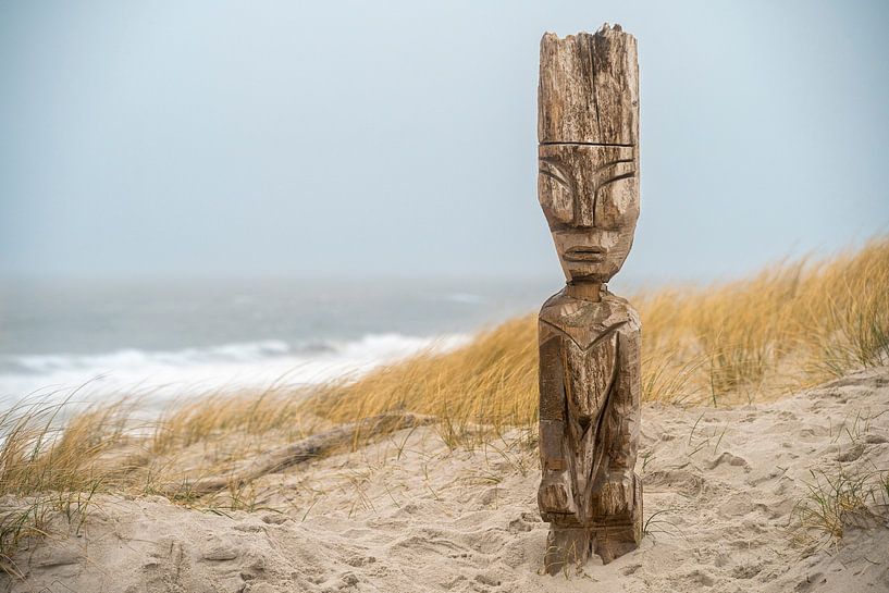 Figurine en bois sur la plage par Stephan Zaun