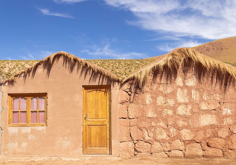 Desert Treasures by Rafael Campezato