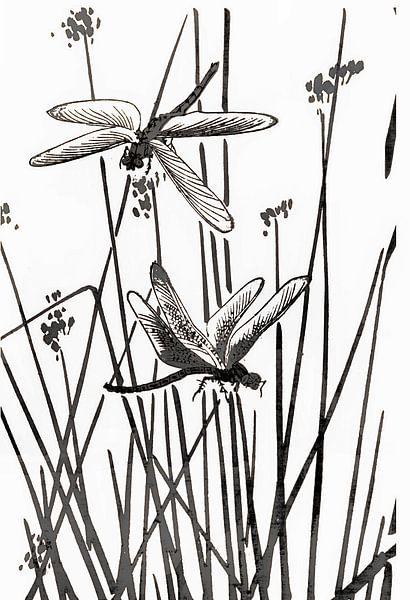 Vivre au bord du lac SW par Mad Dog Art