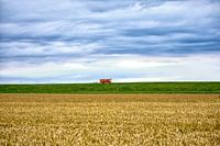 Presentation at De Dijk