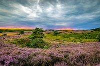 Posbank Veluwe Gelderland