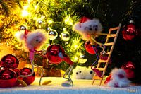 Un regard humoristique des Fubby sur les décorations de Noël.