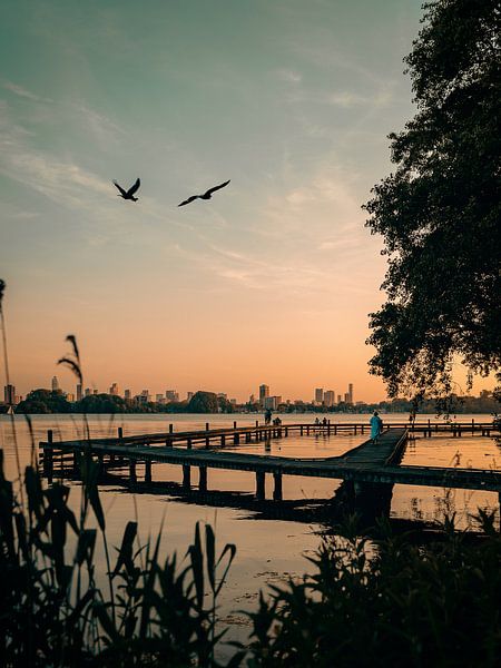 A late evening at Kralingse Plas by Jelte Lagendijk