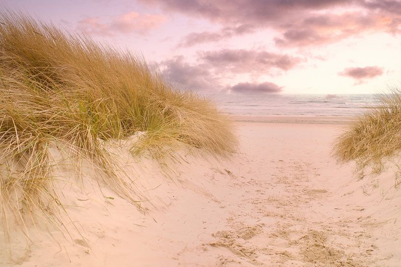 Passage sur la plage d'Usedom avec vue sur la mer Baltique par Martin Köbsch
