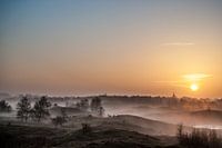 Savonnettes paysagères