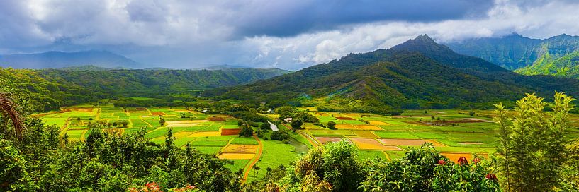 Panorama Hanalei Valley, Kauai, Hawaii by Henk Meijer Photography