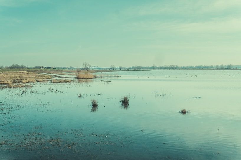 Vreugderijkerwaard Zwolle by Raaf