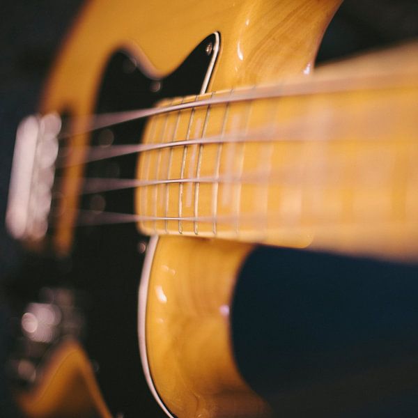 Bassgitarre von Colin van der Bel