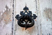 Voordeur met franse lelie.