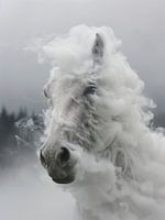 Manifestation éthérée : Un cheval de fumée