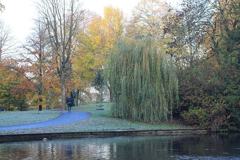 Dans le parc par Jelte versendaal