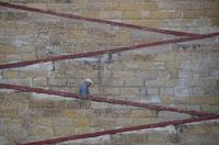 Man coming down the stairs