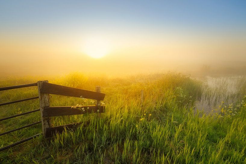 Sonnenaufgang über dem Wieden an einem schönen nebligen Frühlingsmorgen. von Bas Meelker