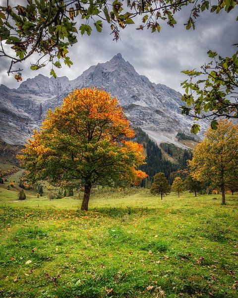 Autumn on the great Ahornboden by Steffen Peters