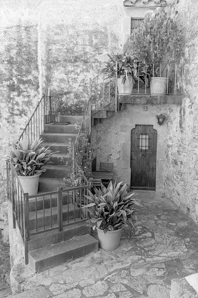 Quelle entrée par Alexandra Bijl