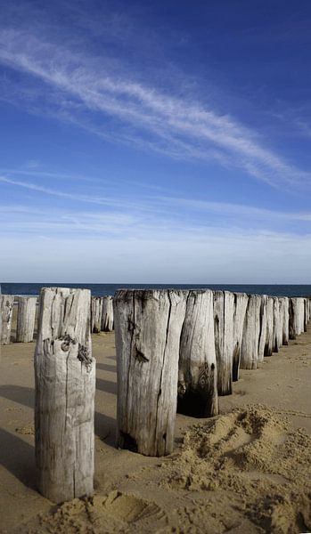 Buhnen by Andrea Meyer