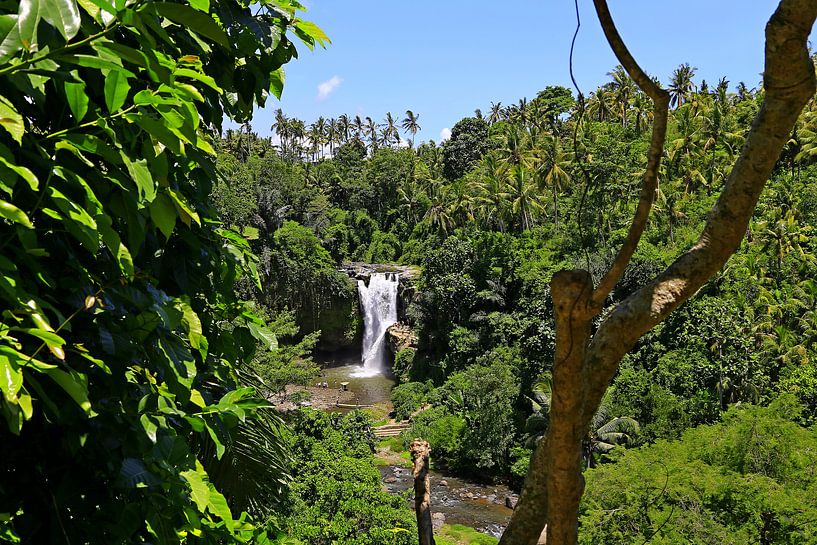 Tegenungan waterfal by Ed Terbak