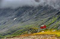 In the middle of nature