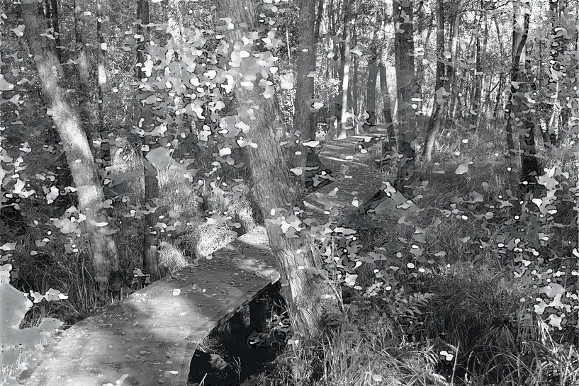 Aus den Tiefen der Erde von True Color Stories