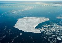 Treibeis in der Oosterschelde