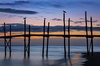 Sonnenaufgang auf Texel