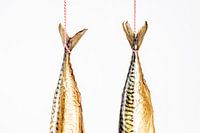 twee hangende makrelen staarten tegen een witte achtergrond