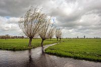 Niederländische Polderlandschaft an einem stürmischen Tag