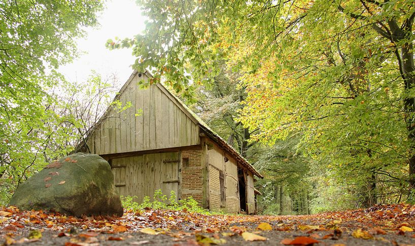 vieille grange dans les bois par cindy kuiphuis