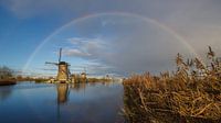 Regenbogen über Kinderdijk