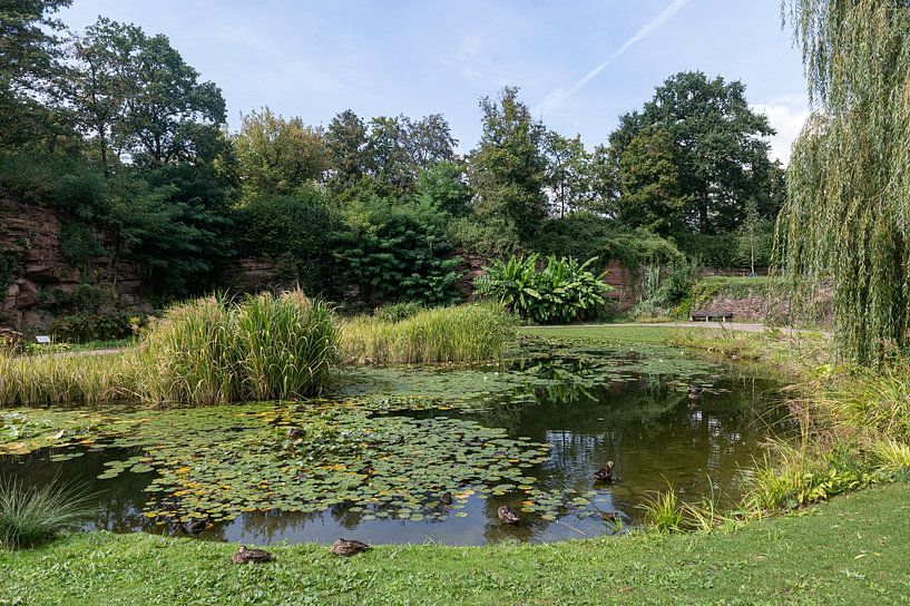 Höhenpark Killesberg von Richard Wareham