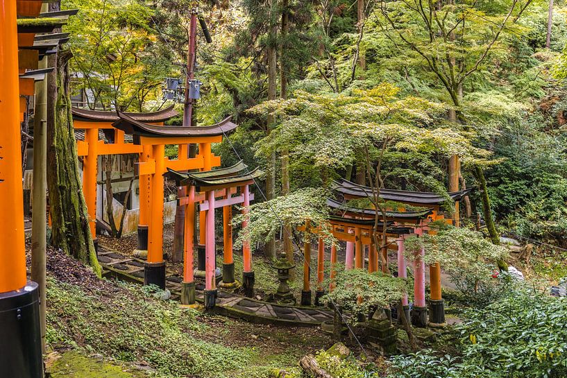 Fushimi Inari Taisha von Peter Dane