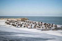 Keien op Neeltje Jans