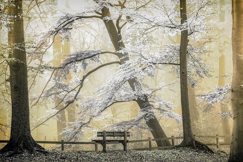 Ruhig und ungestört von Lars van de Goor