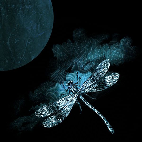 DRAGONFLY III von Pia Schneider