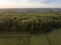 Nietelbroeken (Haspengouw) - Morgengrauen über Nietelbroeken 1
