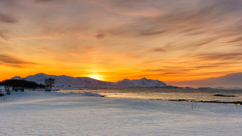 Senja im Winter, Norwegen von Adelheid Smitt
