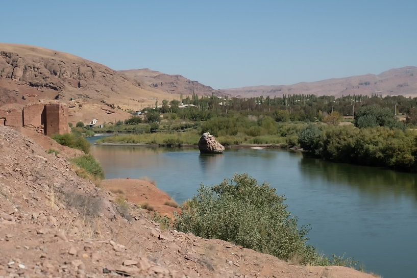 Schoja von Maarten Verhees