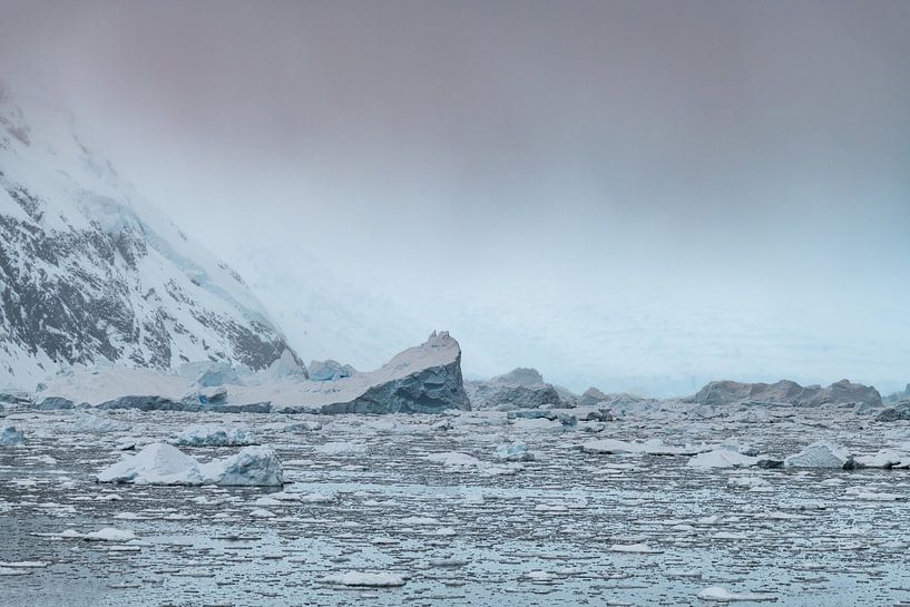 Monde de glace Antarctique par Nanda Bussers