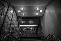 Staircase SS Rotterdam