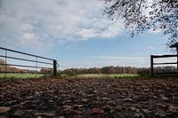 View of fields in autumn