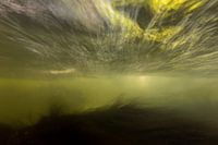 Fast-flowing river with aquatic plants