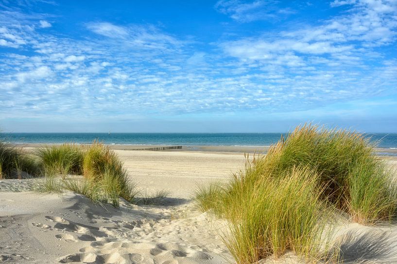 dutch dunes and beach by Joachim G. Pinkawa