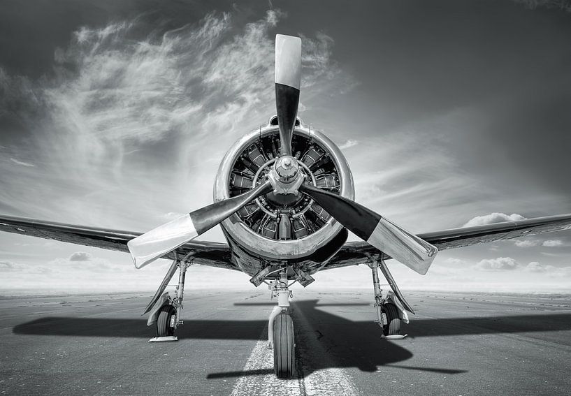 airplane by Frank Peters