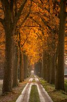 Winterfahrt zur Domain d'Aertrycke