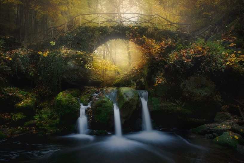 Der märchenhafte Schiessentumpel von Roelie Steinmann
