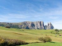 Alpe di Siusi - View of the Sciliar