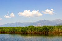 Reed at the edge of a lake with mountains and clouds