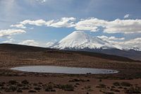 Blick auf den Vulkan im Altiplano in Bolivien. Im Vordergrund ein Bergsee.