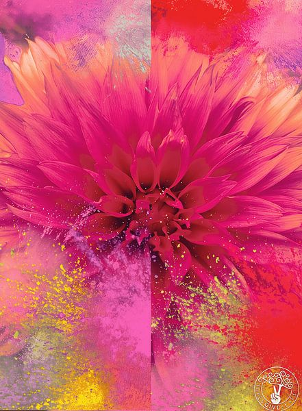 Bunte Explosion Rosa von treesgivepeace.nl