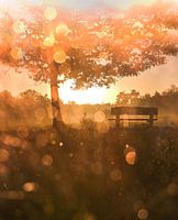 Leersumer Feld Teil 26